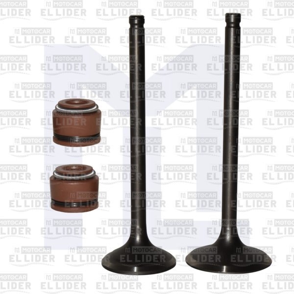 VALVULA KIT CBF125 EURO II/XR125L BRIO/CB125F FI REVO+ GORROS