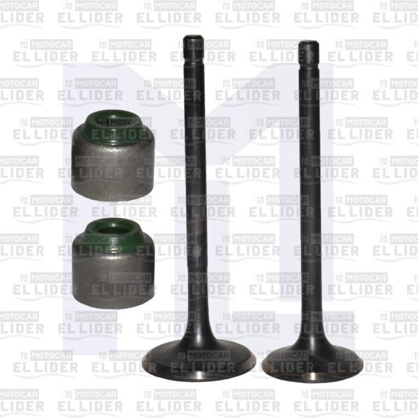 VALVULA KIT RE205 GENUI