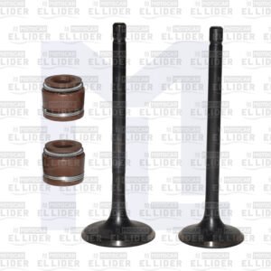 VALVULA KIT TUK TUK/APACHE RTR160 2V/RTR180+GORROS REVO
