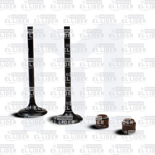 VALVULA KIT TUK TUK /TVS APACHE RTR 160/RTR 180 INDIAN SPARE (OBSEQUIO GORROS)