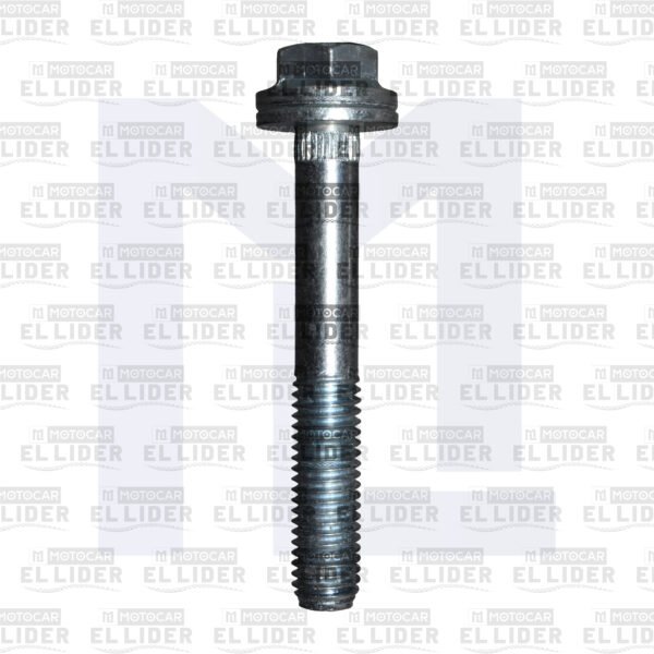 TORNILLO MANUBRIO RE205/TORITO/RE175 MQP