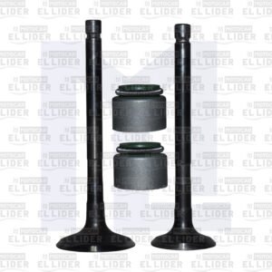 VALVULA KIT RE205 VARROC