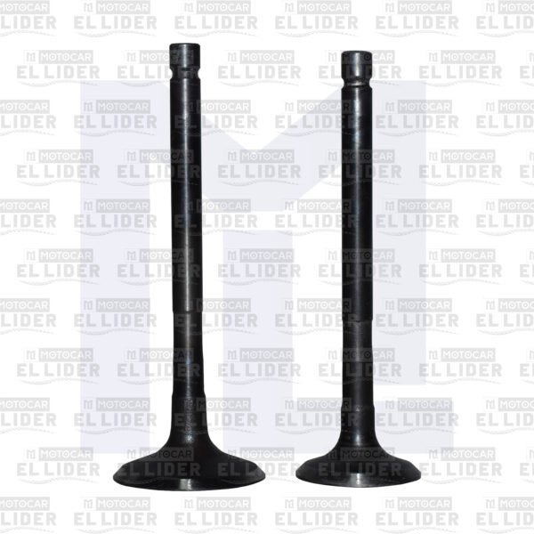 VALVULA KIT RE205 VITRIX