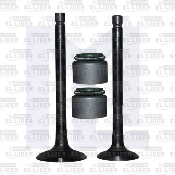 VALVULA KIT RE205 KANUNI